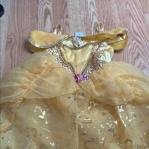 Disney Gold Theater Princess Costume